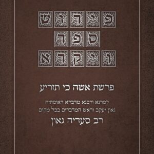 פירוש רב סעדיה גאון על התורה