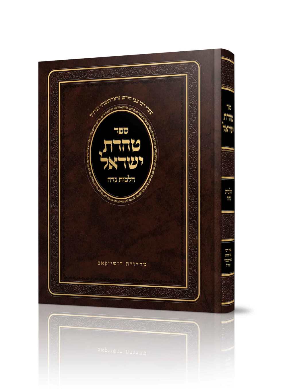 הדמייה טהרת ישראל AZ-21869