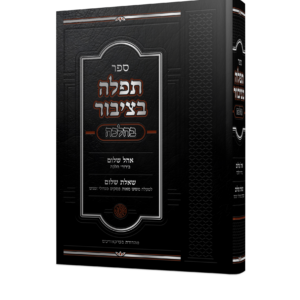 תפילה בציבור
