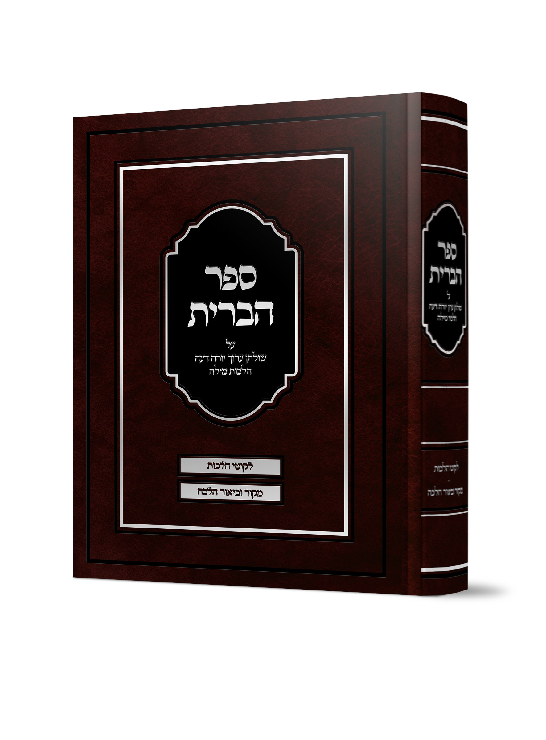 הדמייה ספר הברית AZ-10230
