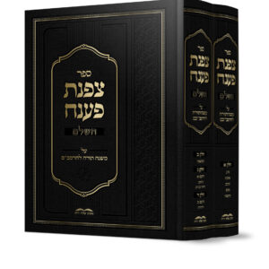 צפנת פענח על הרמב"ם הוצאה חדשה
