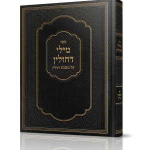 מילי דחולין<BR>על מסכת חולין