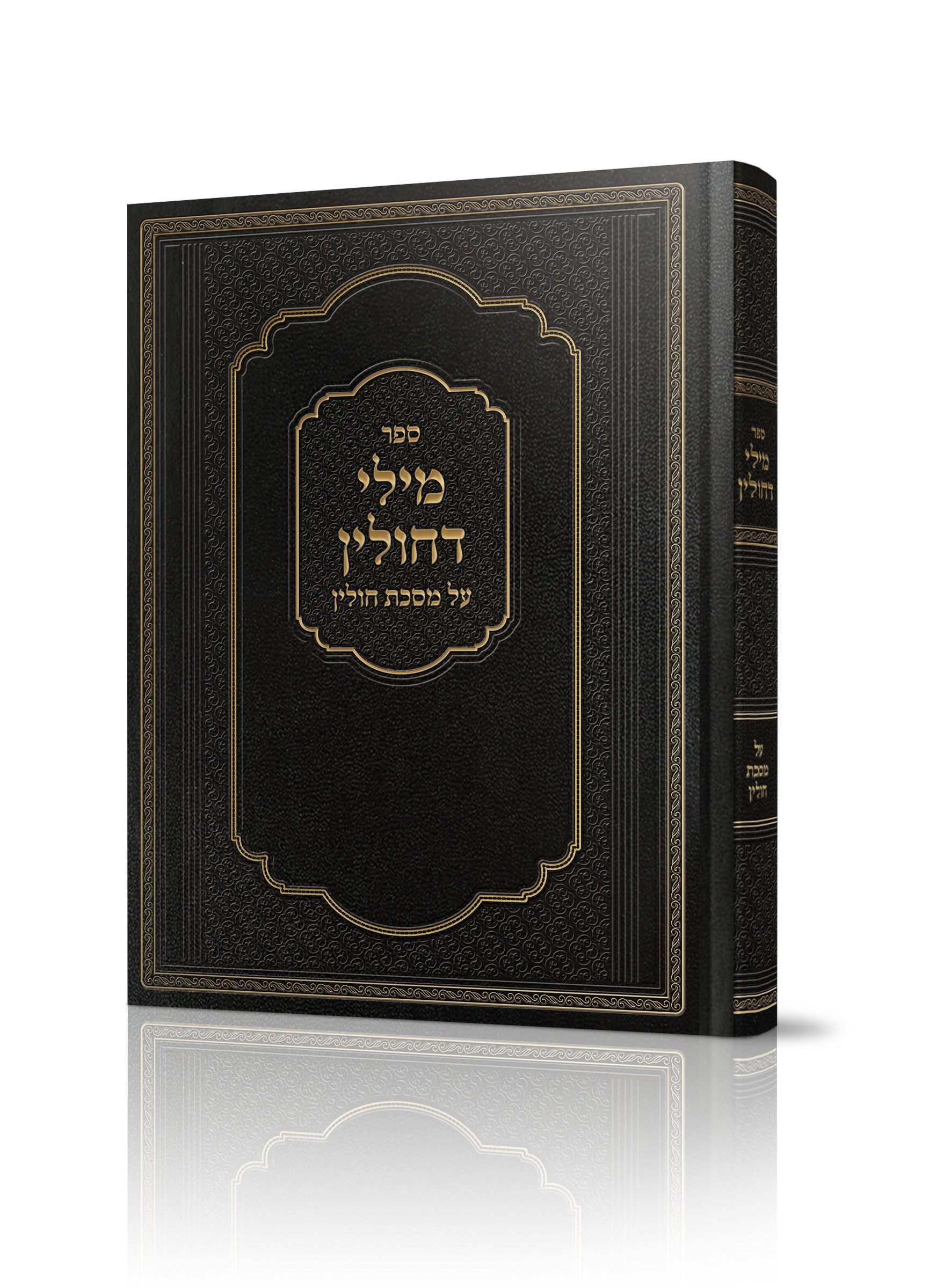 מילי דחולין<BR>על מסכת חולין