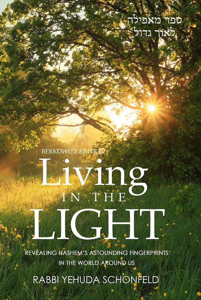 Living in the Light cover