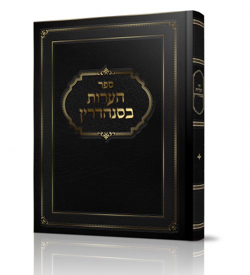 הערות בסנהדרין
