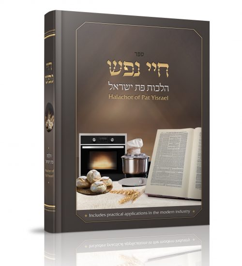 חיי נפש
