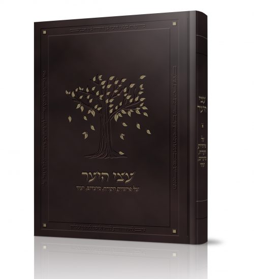 עצי היער